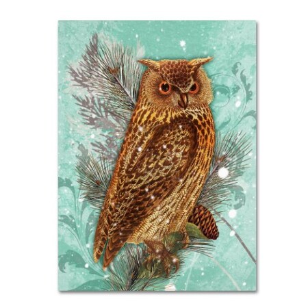 Tina Lavoie 'Snowy Owl' Canvas Art,24x32